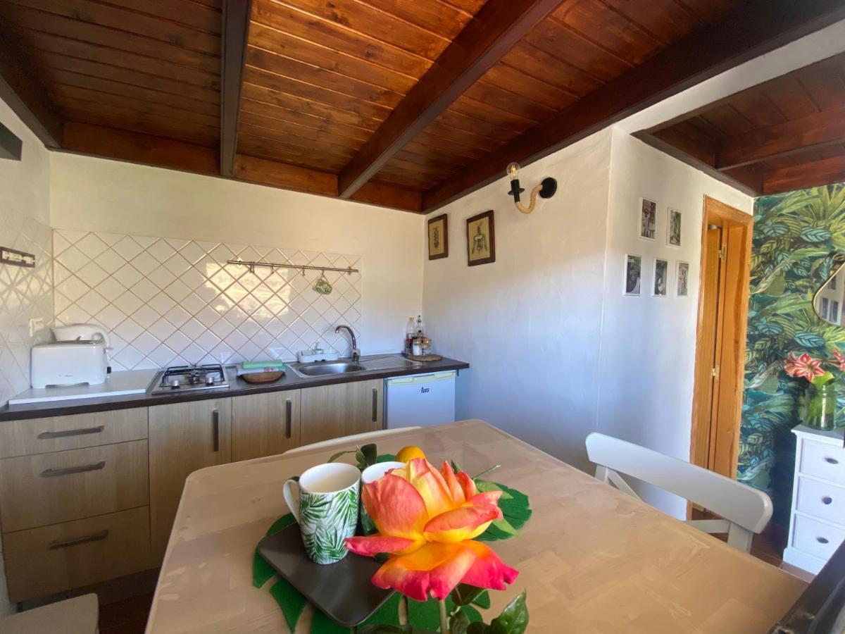 Juncalillo House Gáldar